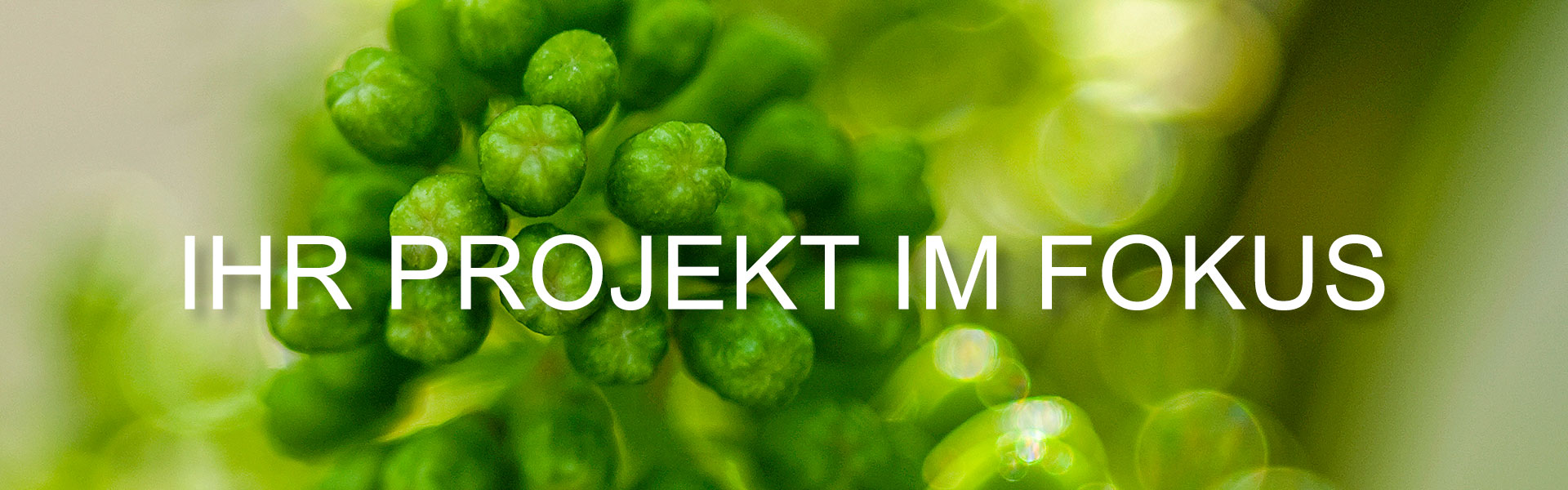 Projektumsetzung aus einer Hand Fotografie & Design aus einer Hand