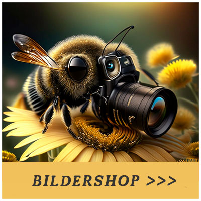 Bildershop-besuchen